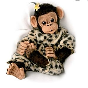 Little Ubu chimpanzee